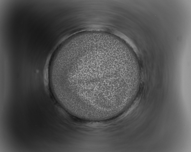 X0000087601075200705181233