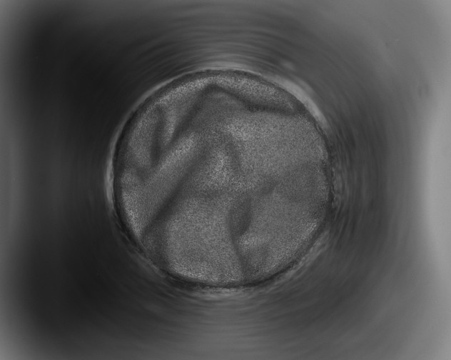 X0000087601076200705181233