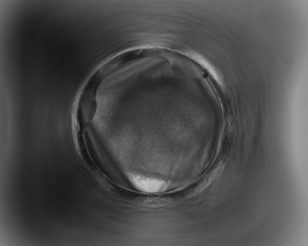 X0000087601077200705181233