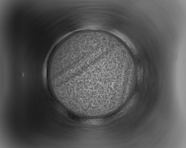 X0000087601078200705181233