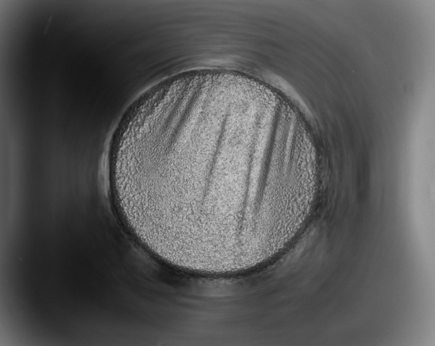 X0000087601079200705181233
