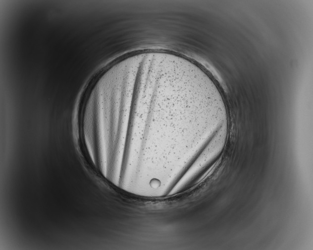 X0000087601080200705181233