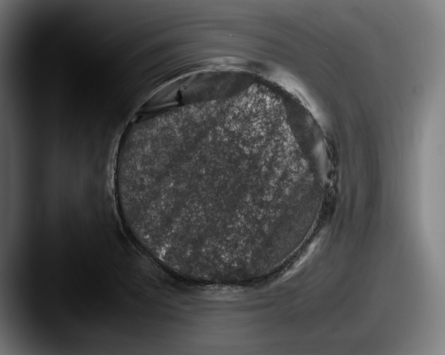 X0000087601081200705181233