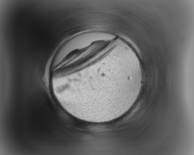X0000087601083200705181233
