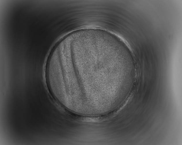 X0000087601086200705181233