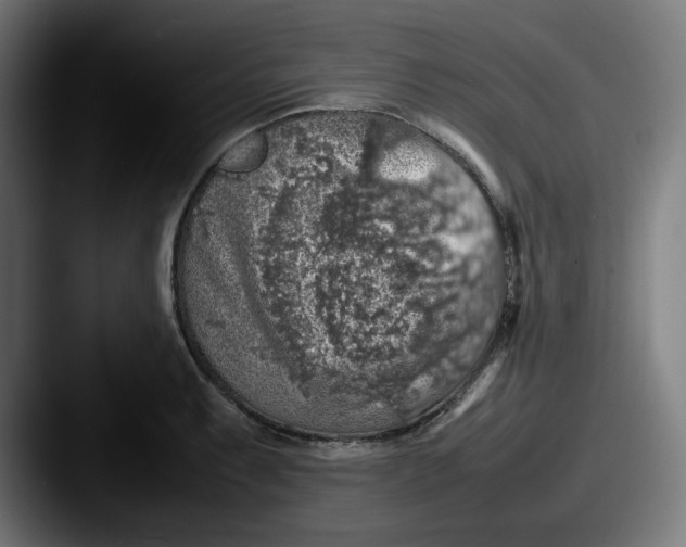 X0000087601087200705181233