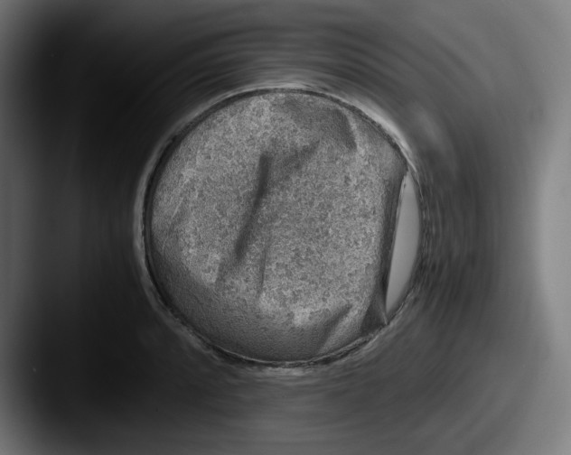X0000087601088200705181233
