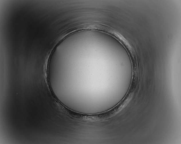 X0000087601089200705181233