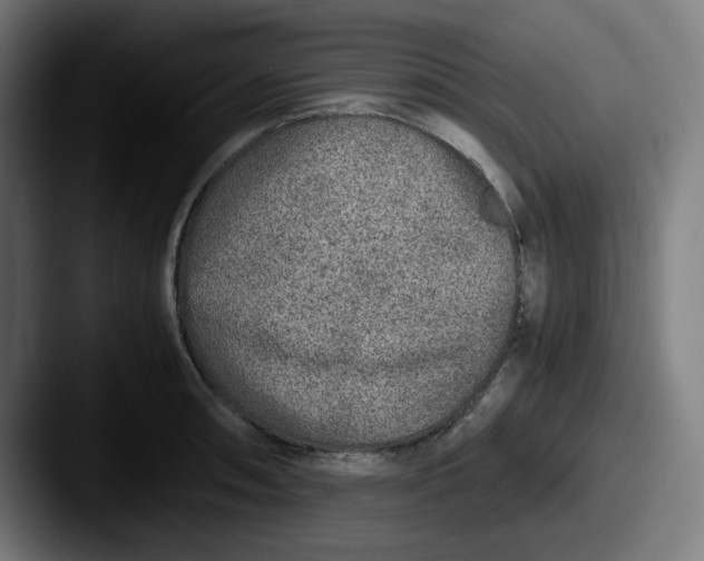 X0000087601090200705181233