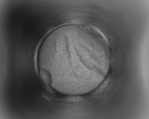 X0000087601091200705181233