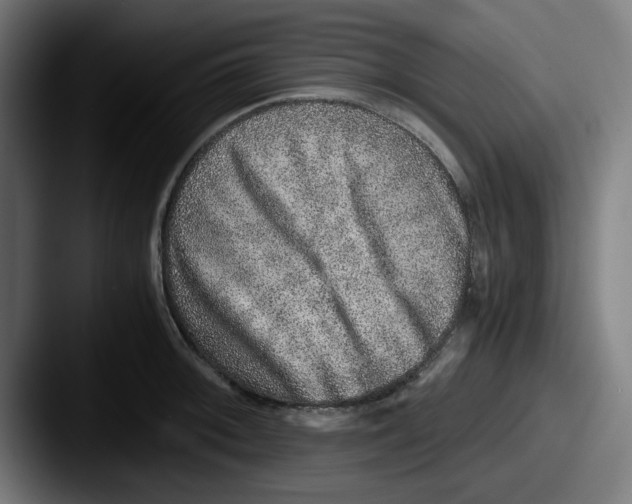 X0000087601092200705181233