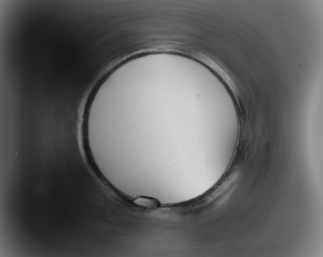 X0000087601093200705181233