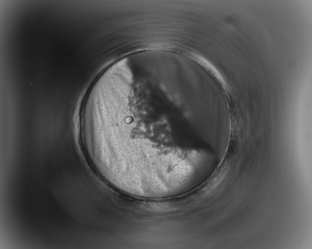 X0000087601095200705181233