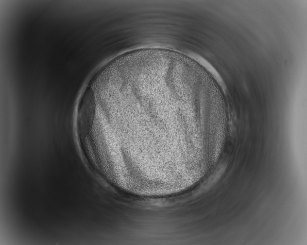 X0000087601096200705181233