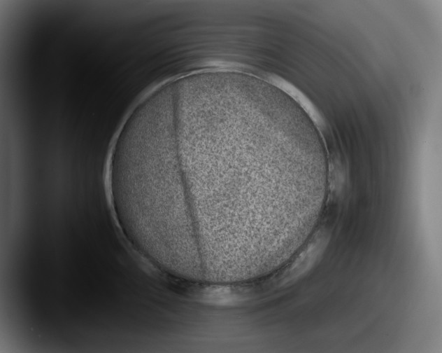 X0000087601098200705181233
