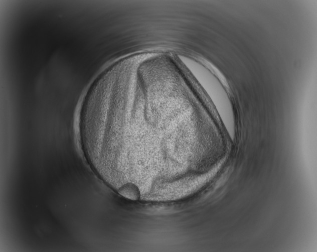 X0000087601099200705181233