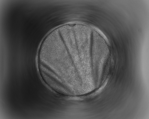 X0000087601100200705181233