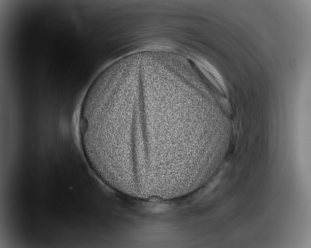 X0000087601103200705181233