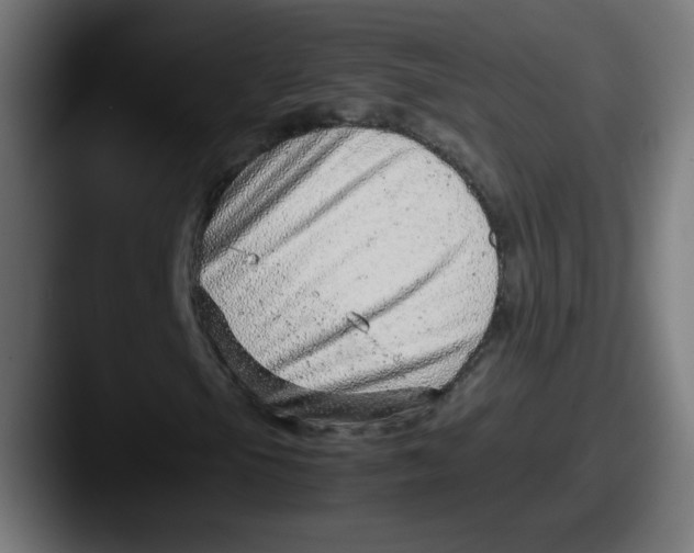 X0000087601105200705181232