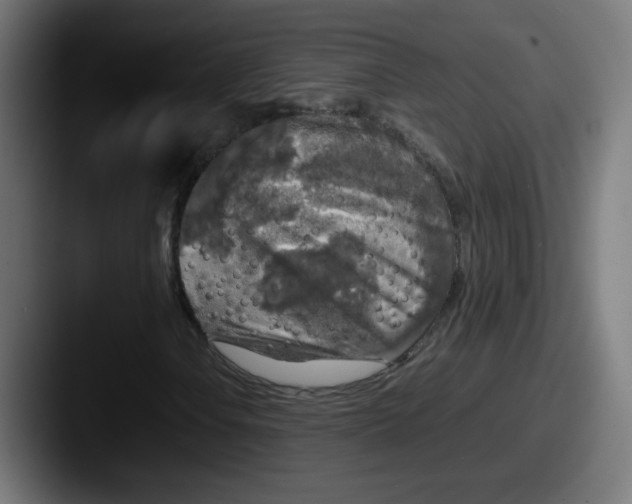 X0000087601106200705181232