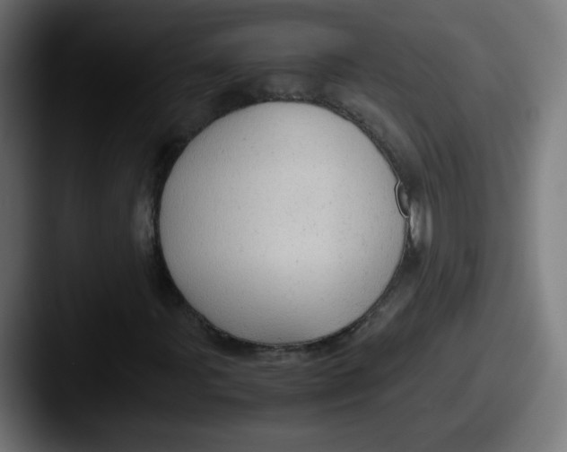 X0000087601107200705181232