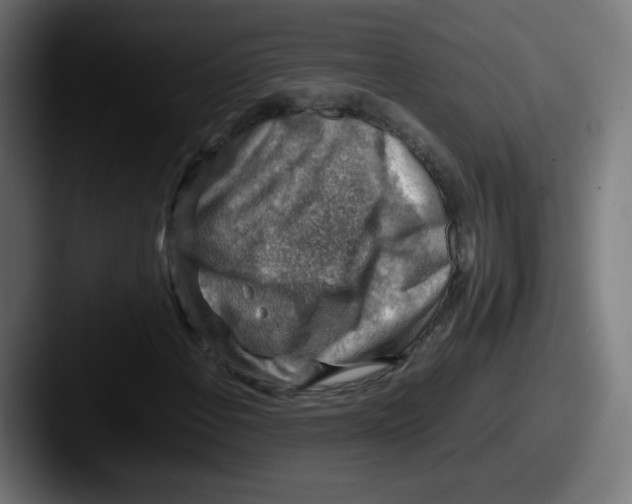 X0000087601108200705181232