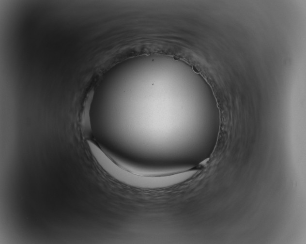 X0000087601109200705181232
