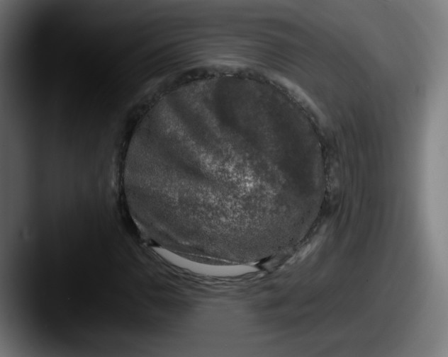 X0000087601110200705181232