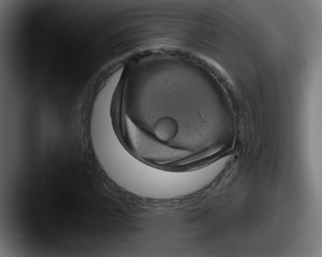 X0000087601112200705181232