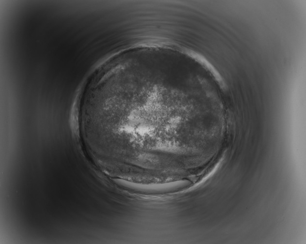 X0000087601114200705181232