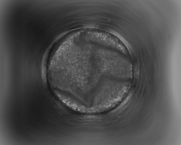X0000087601115200705181232