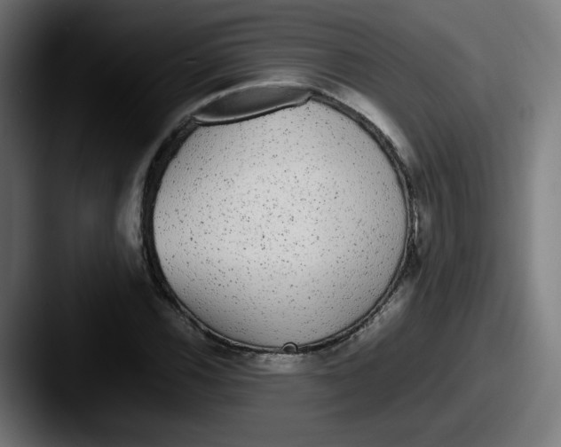 X0000087601116200705181232