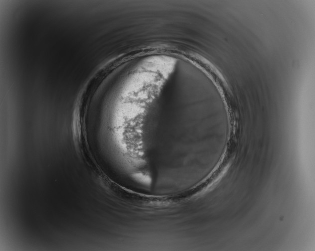 X0000087601117200705181232