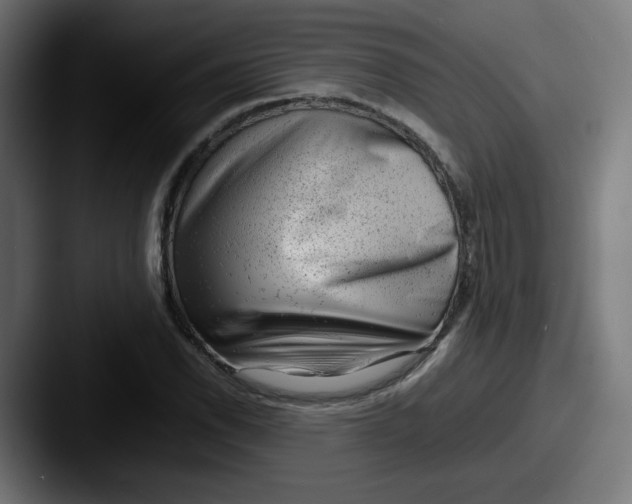 X0000087601118200705181232