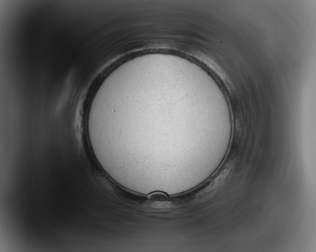 X0000087601119200705181232