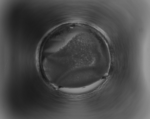 X0000087601120200705181232