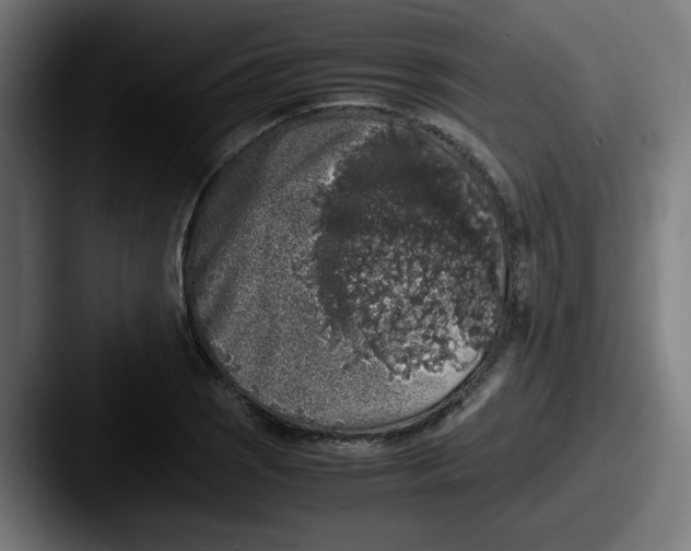 X0000087601121200705181232