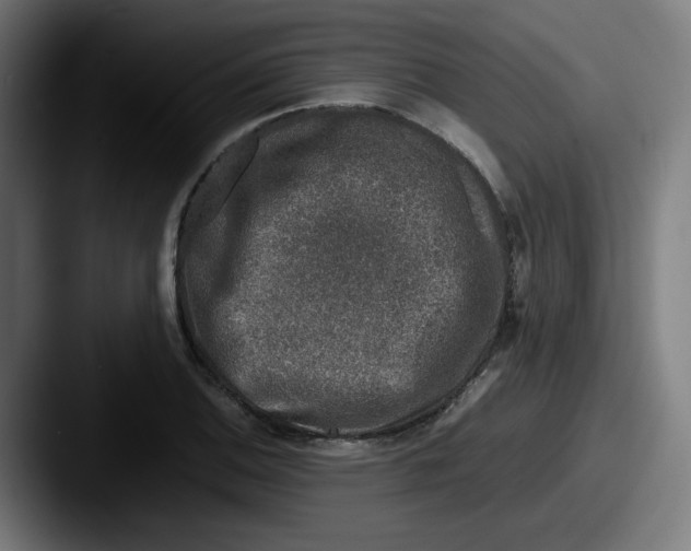 X0000087601124200705181232