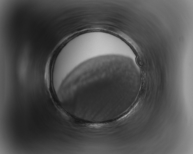 X0000087601127200705181232