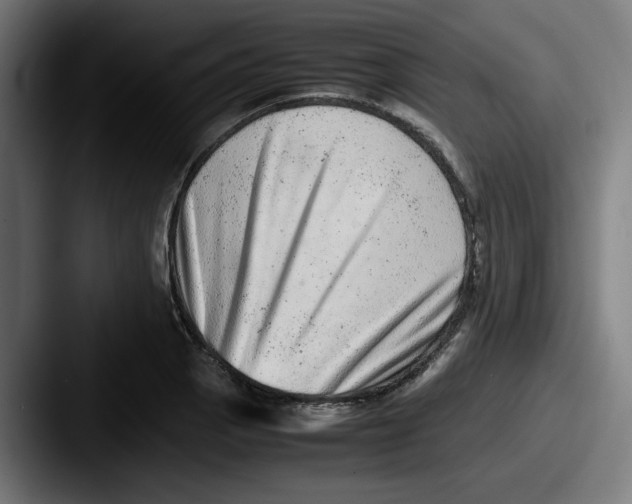 X0000087601129200705181232