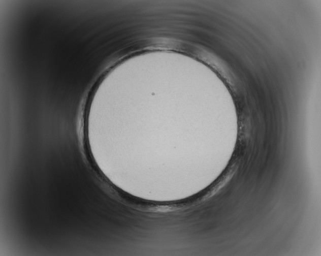X0000087601130200705181232