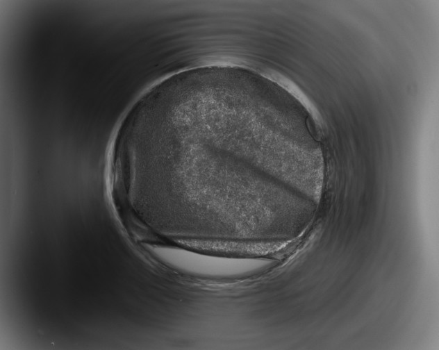 X0000087601132200705181232