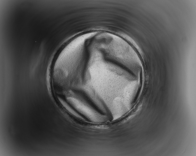X0000087601133200705181232