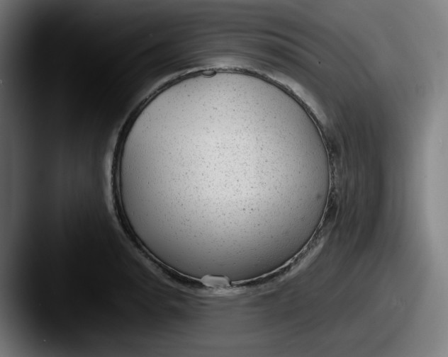 X0000087601134200705181232