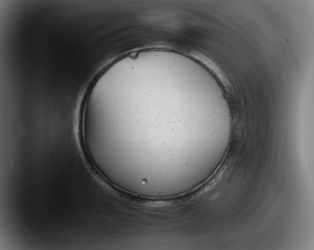 X0000087601135200705181232
