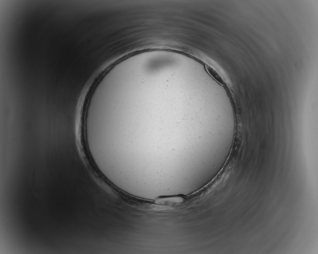 X0000087601136200705181232