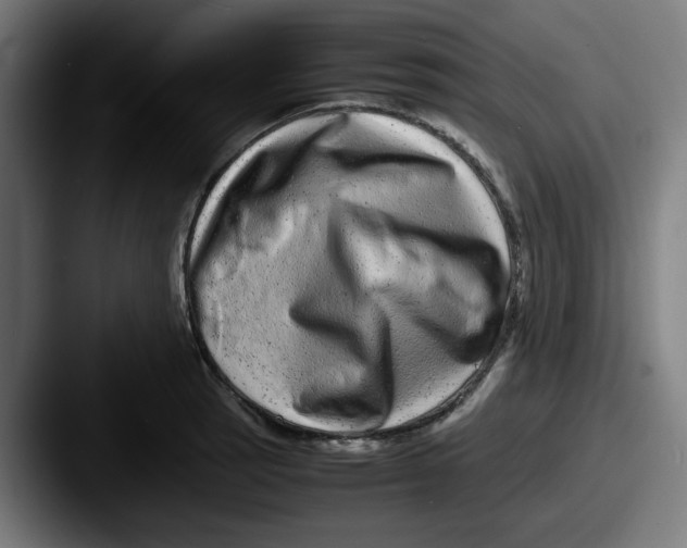 X0000087601137200705181232