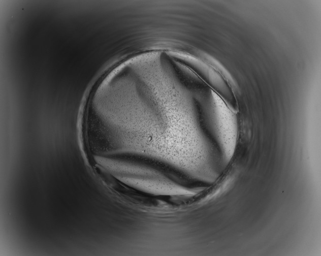 X0000087601138200705181232