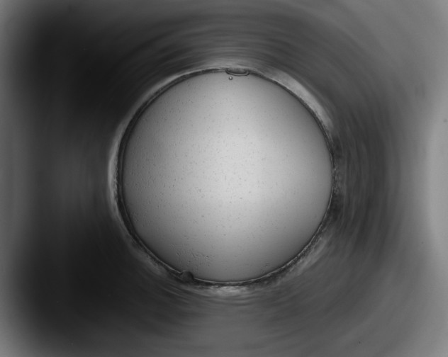 X0000087601140200705181232