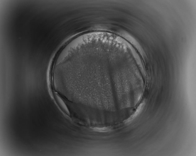 X0000087601141200705181232